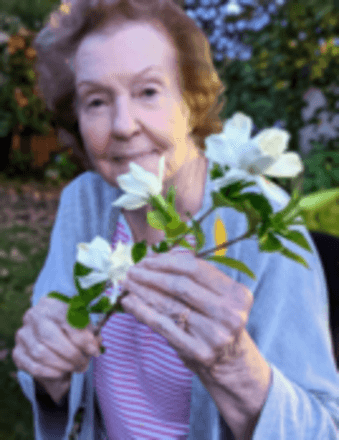 Margie H. Drake Obituary